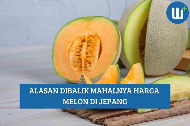 Alasan Dibalik Mahalnya Harga Melon di Jepang, Simak Yuk!